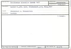 Karteikarte zum Syntyp von Trochammina miocenica Karrer, 1877